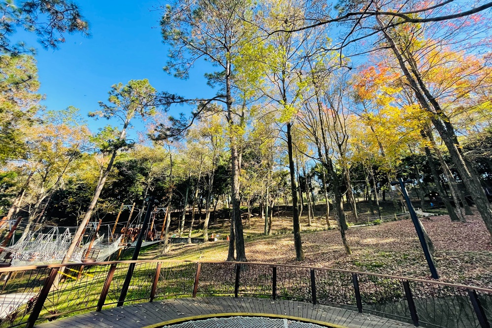 台中【東勢林場遊樂區】園區設施完善並且步道平坦好走，很適合半日遊