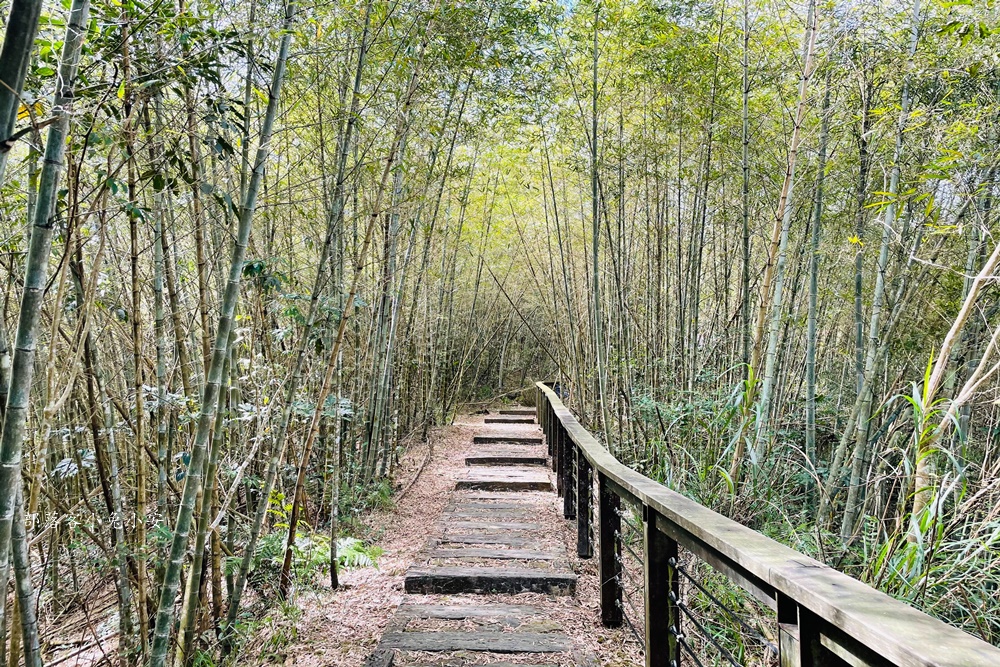 梅山鄉【孝子路步道】單程只要步行15分鐘就能抵達中途點竹林涼亭