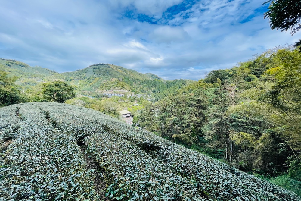 梅山鄉【孝子路步道】單程只要步行15分鐘就能抵達中途點竹林涼亭