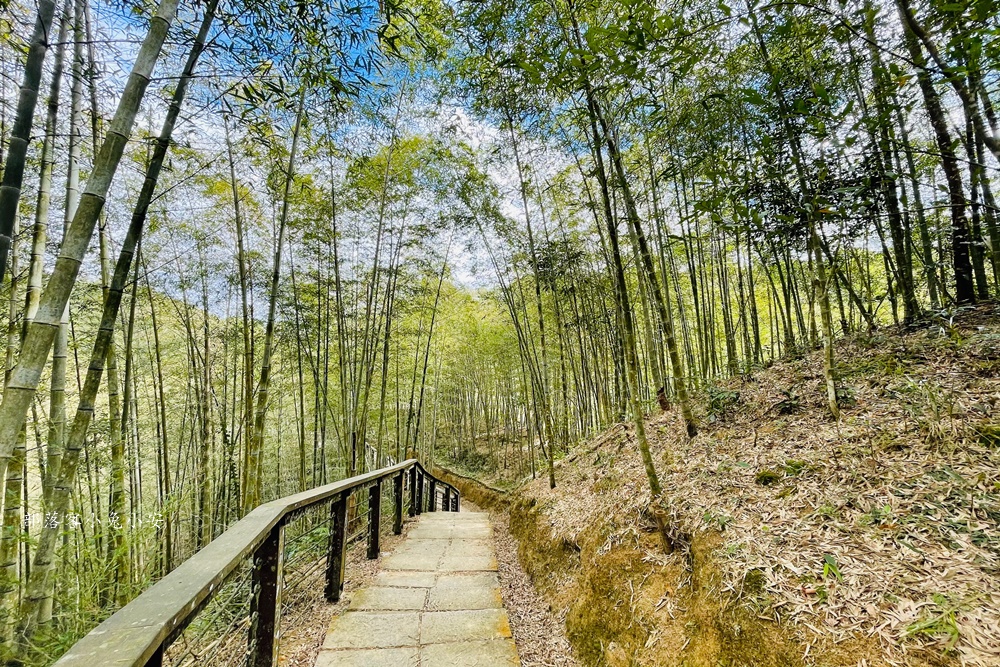 嘉義梅山【孝子路步道】位在山區的私房竹林步道&山谷吊橋