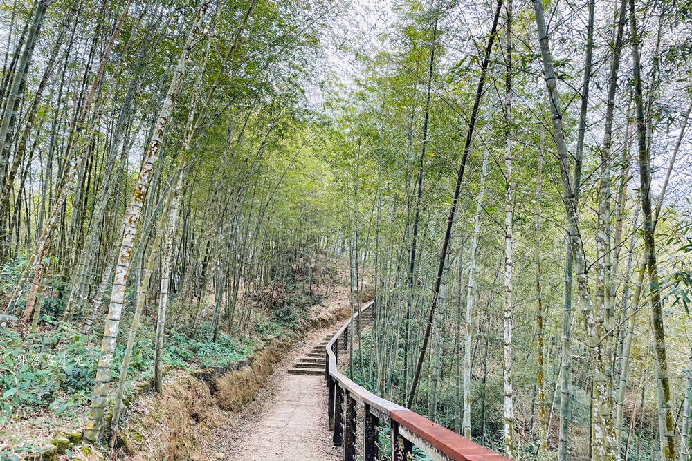 梅山鄉【孝子路步道】單程只要步行15分鐘就能抵達中途點竹林涼亭