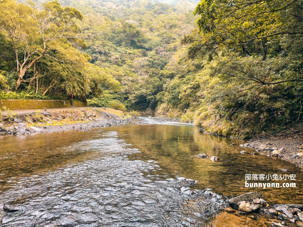 屏東【雙流國家森林遊樂區】單程只要步行20分鐘就能抵達中途點山谷吊橋