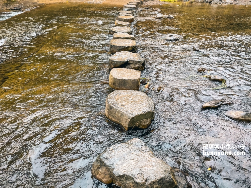 屏東【雙流國家森林遊樂區】單程只要步行20分鐘就能抵達中途點山谷吊橋