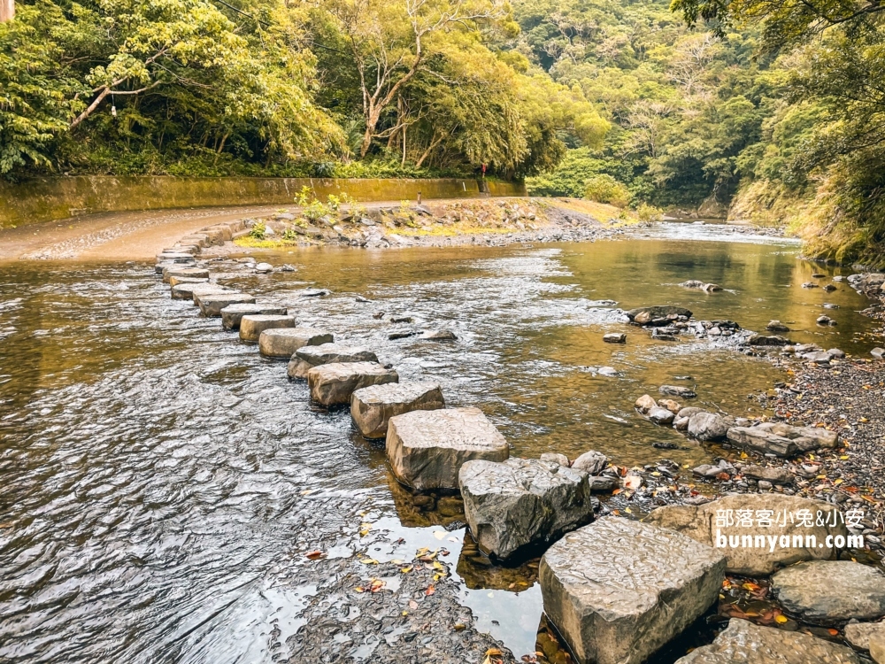 屏東【雙流國家森林遊樂區】單程只要步行20分鐘就能抵達中途點山谷吊橋