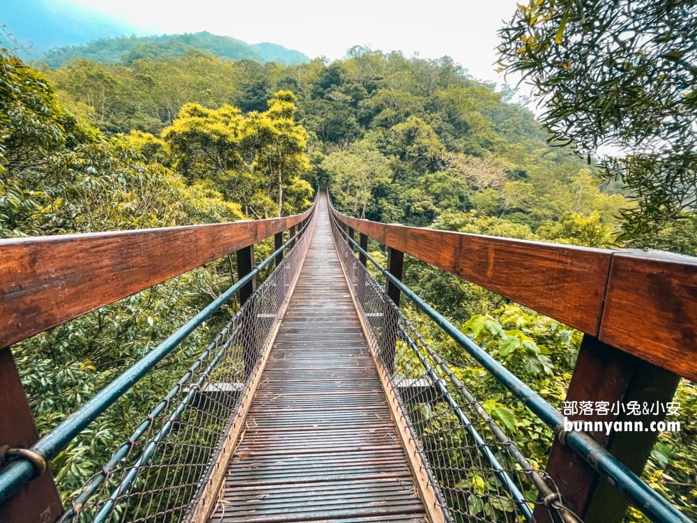 屏東【雙流國家森林遊樂區】單程只要步行20分鐘就能抵達中途點山谷吊橋