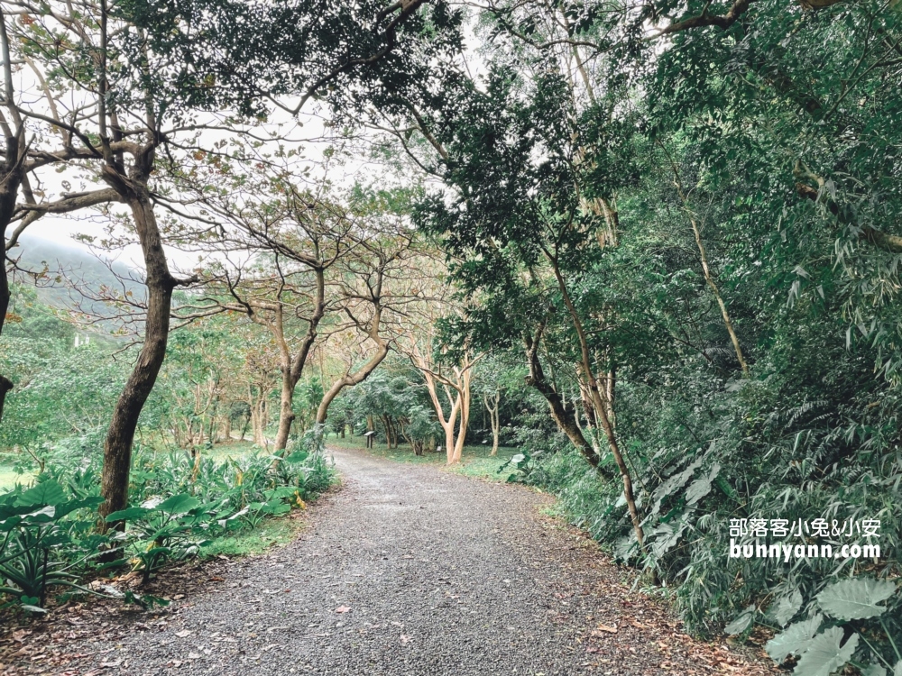 2025【雙流國家森林遊樂區】🌿屏東私房自然秘境，來回一小時輕鬆走完