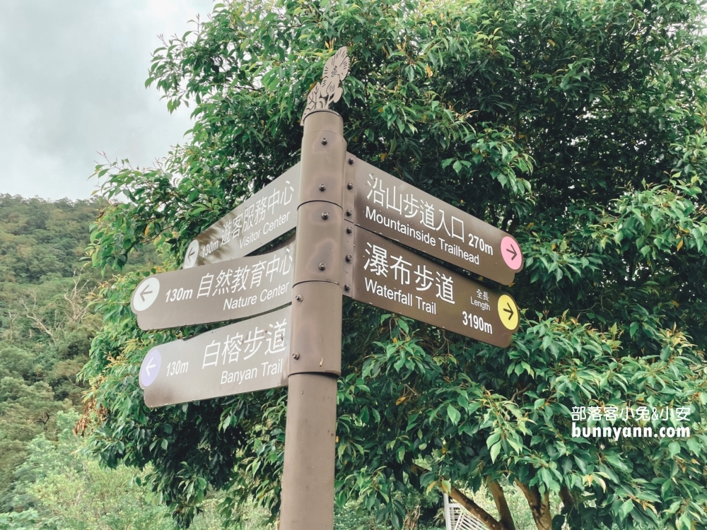 屏東【雙流國家森林遊樂區】單程只要步行20分鐘就能抵達中途點山谷吊橋