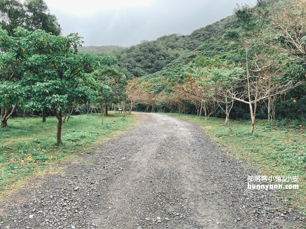 屏東【雙流國家森林遊樂區】單程只要步行20分鐘就能抵達中途點山谷吊橋