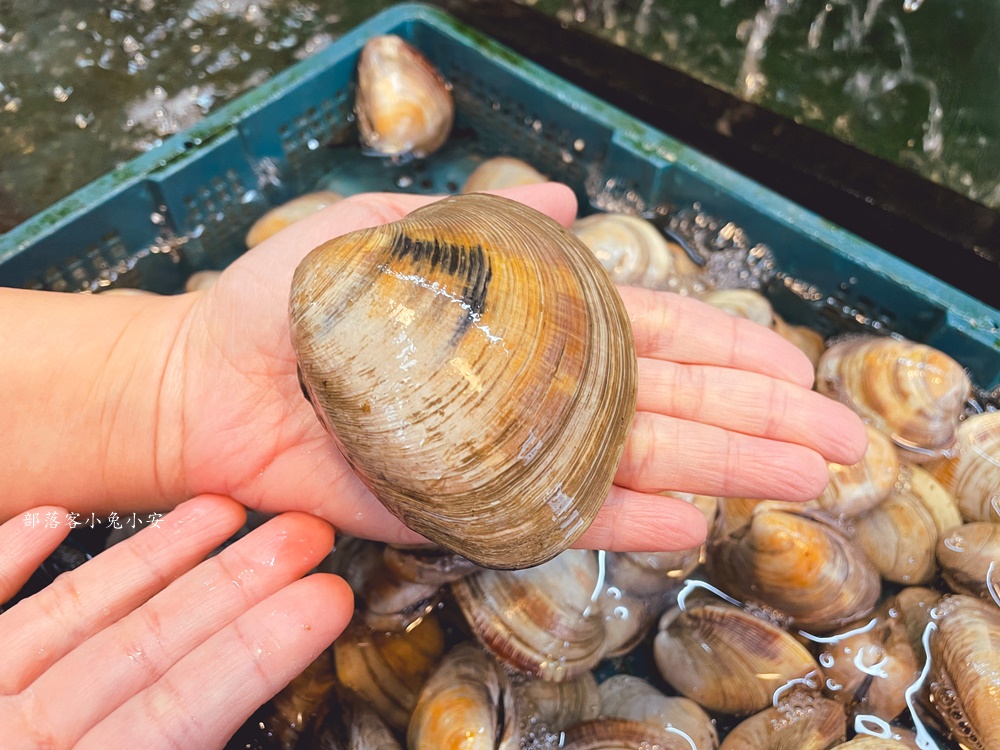 阿興生魚片只要200元就有40片新鮮生魚片，厚切又鮮甜，CP值爆表！