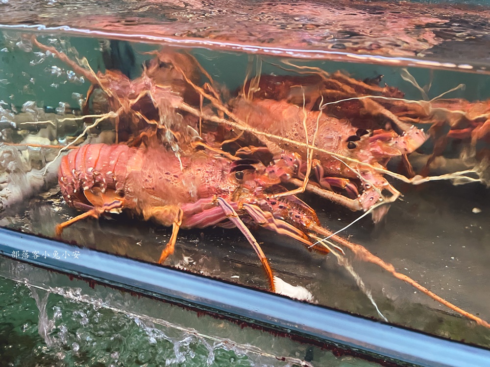 阿興生魚片只要200元就有40片新鮮生魚片，厚切又鮮甜，CP值爆表！