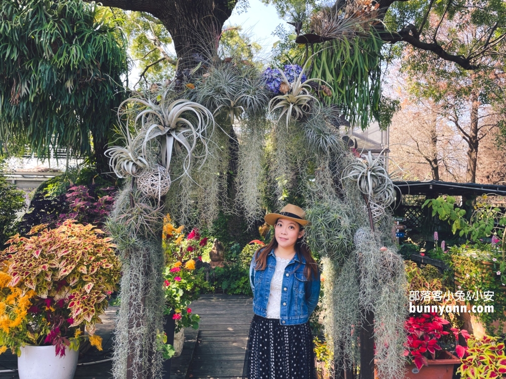 彰化【菁芳園】美麗登場，夢幻繽紛花牆，玻璃小屋隨你拍照