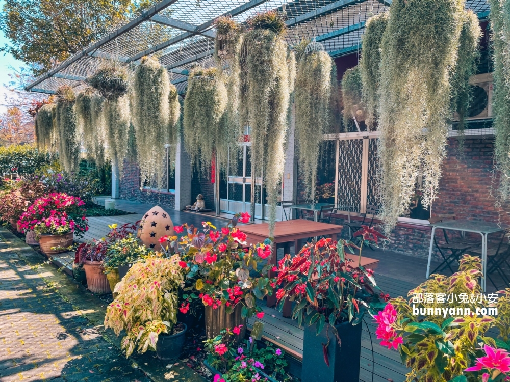 彰化【菁芳園】美麗登場，夢幻繽紛花牆，玻璃小屋隨你拍照