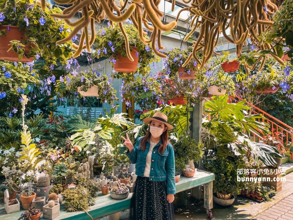 田尾景點｜菁芳園