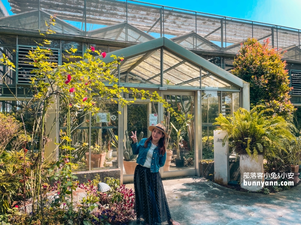 彰化【菁芳園】美麗登場，夢幻繽紛花牆，玻璃小屋隨你拍照