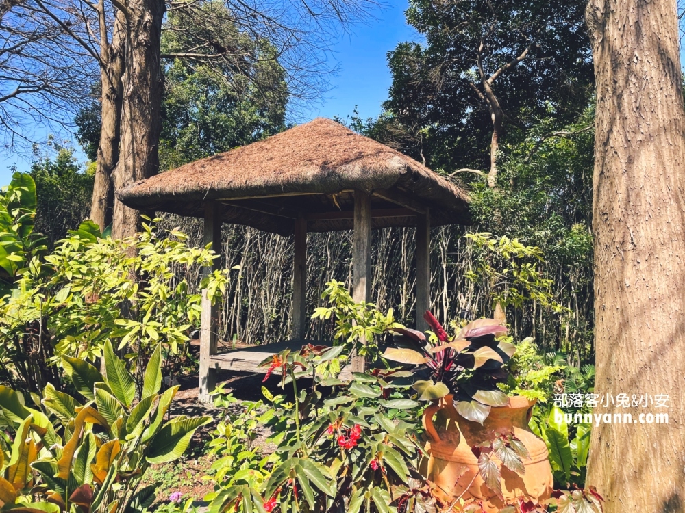 彰化【菁芳園】美麗登場，夢幻繽紛花牆，玻璃小屋隨你拍照