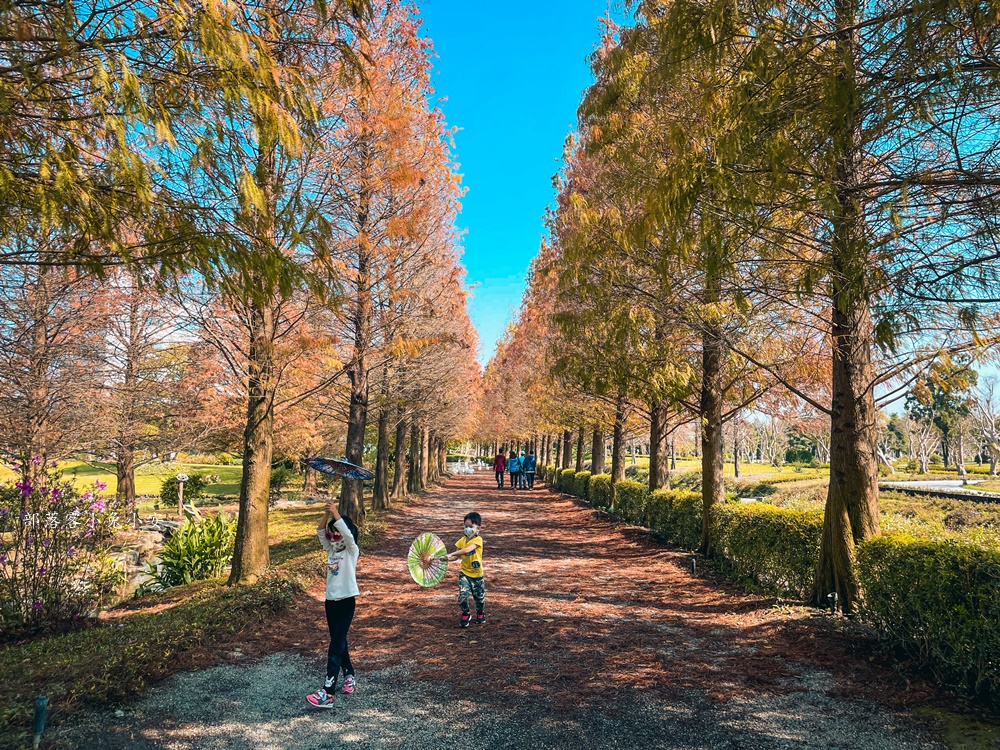 彰化秘境！成美文化園如詩如畫，落羽松大道、禪意庭院帶你體驗慢活人生