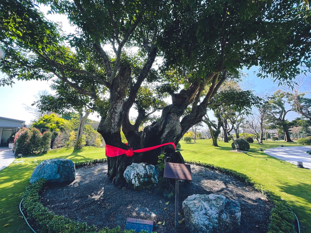 彰化【成美文化園】佔地10公頃的夢幻場景，包含新的東園區走到鐵腿