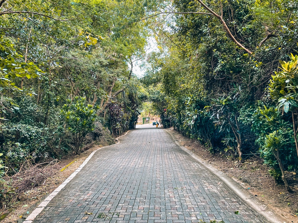 屏東【高山巖福德宮】位於山頂上的土地公廟，有礁岩小徑和神祕洞穴可探險