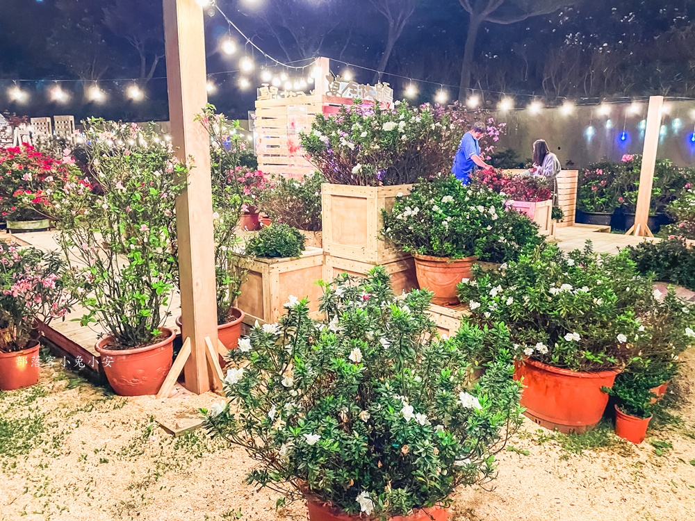 萬金杜鵑花聚落夜晚點燈超美，展期到2022/03/13為止