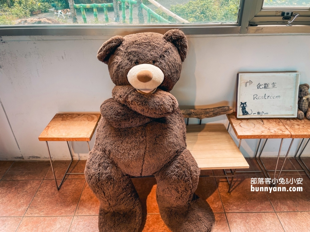 萬里【一粒沙咖啡館】有店貓可擼也太療癒