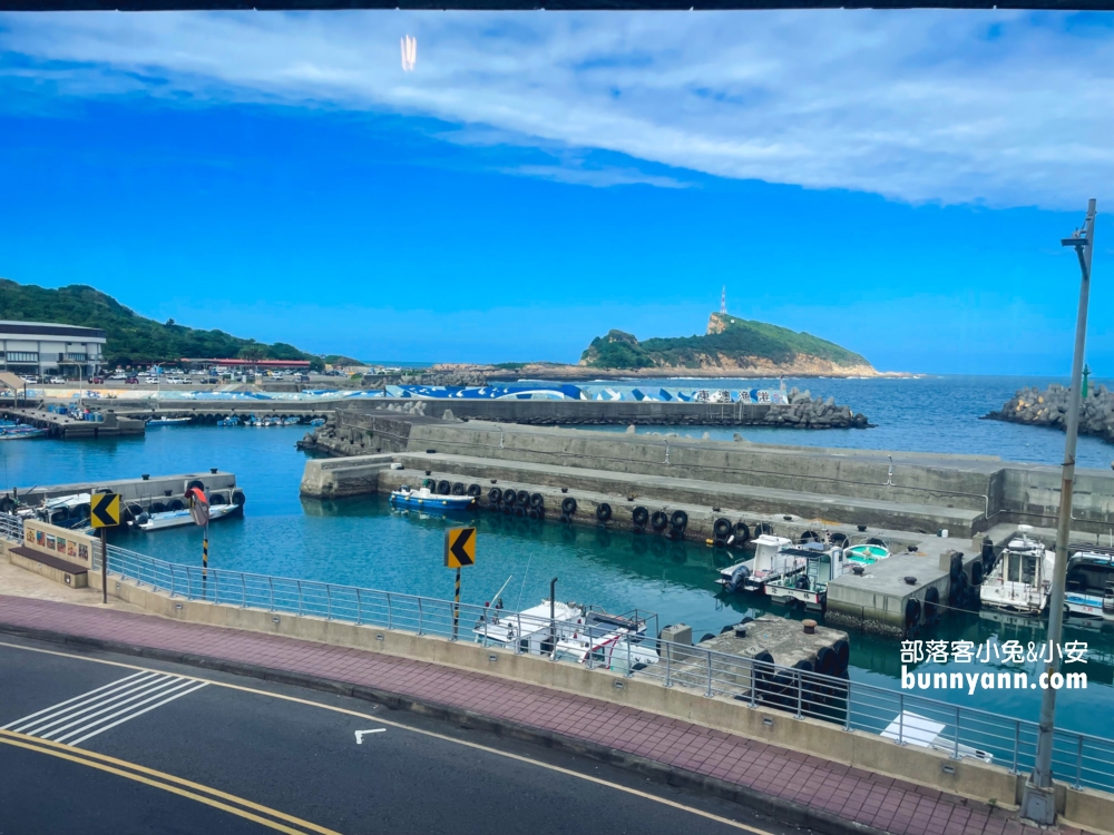 萬里【一粒沙咖啡館】有店貓可擼也太療癒