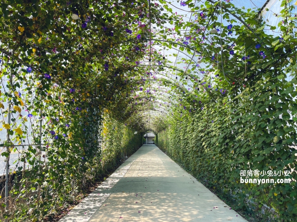 中埔穀倉農創園區