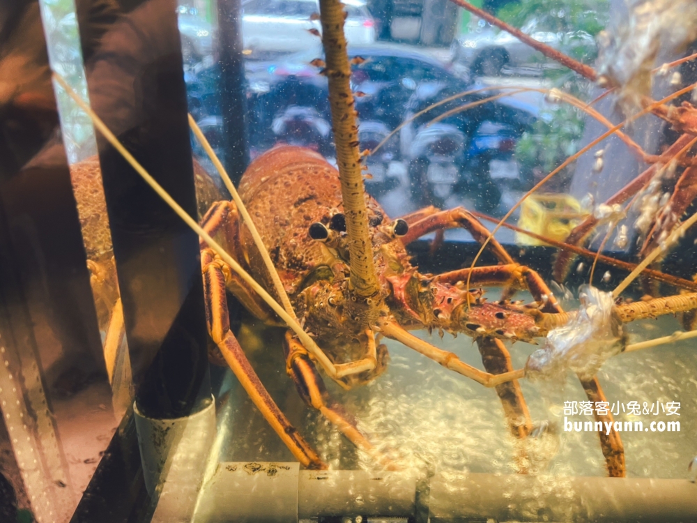 【香港九記海鮮】重新裝潢過的市區平價海鮮店