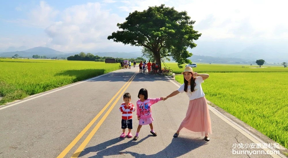 台東【伯朗大道】必拍金城武樹與天堂鞦韆，池上天堂路景色又美又好拍 @小兔小安*旅遊札記