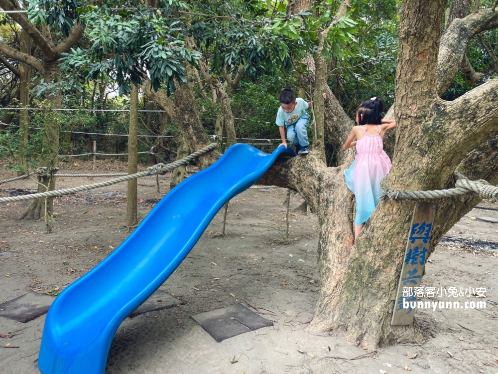 埔鹽【姥姥不老茶文創園區】近20種親子戶外設施一次玩到飽
