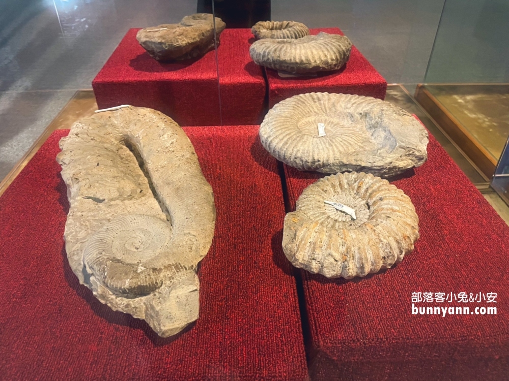 【花蓮雨天景點】光隆博物館：門票優惠/靜態設施體驗指南