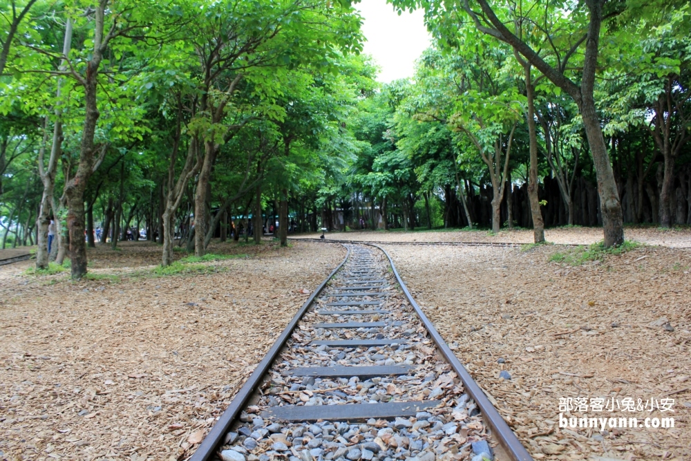 宜蘭最Chill森林步道！羅東林業文化園區必走的湖畔步道與懷舊火車頭