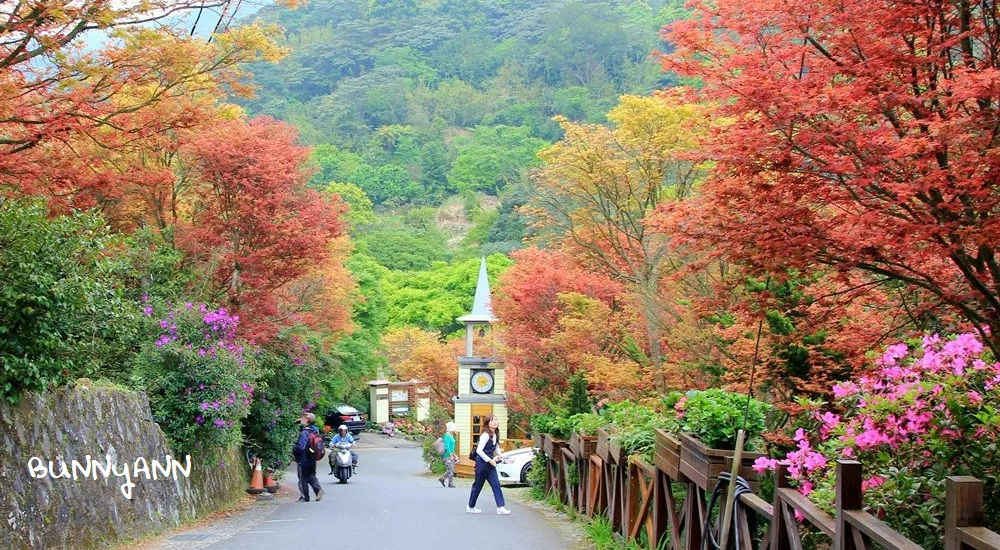台北陽明山奧萬大樂活莊園，賞楓紅最佳景點，門票資訊介紹!!