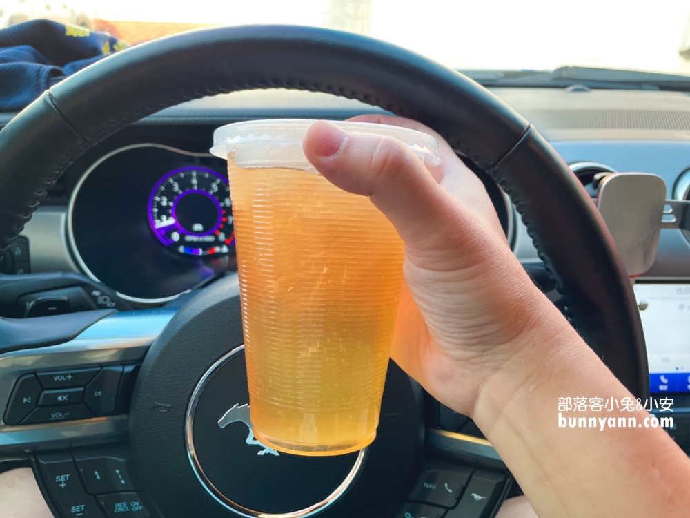 嘉義隱藏版小攤！民權路165號粉圓冰愛玉冰，綠豆冰也好喝