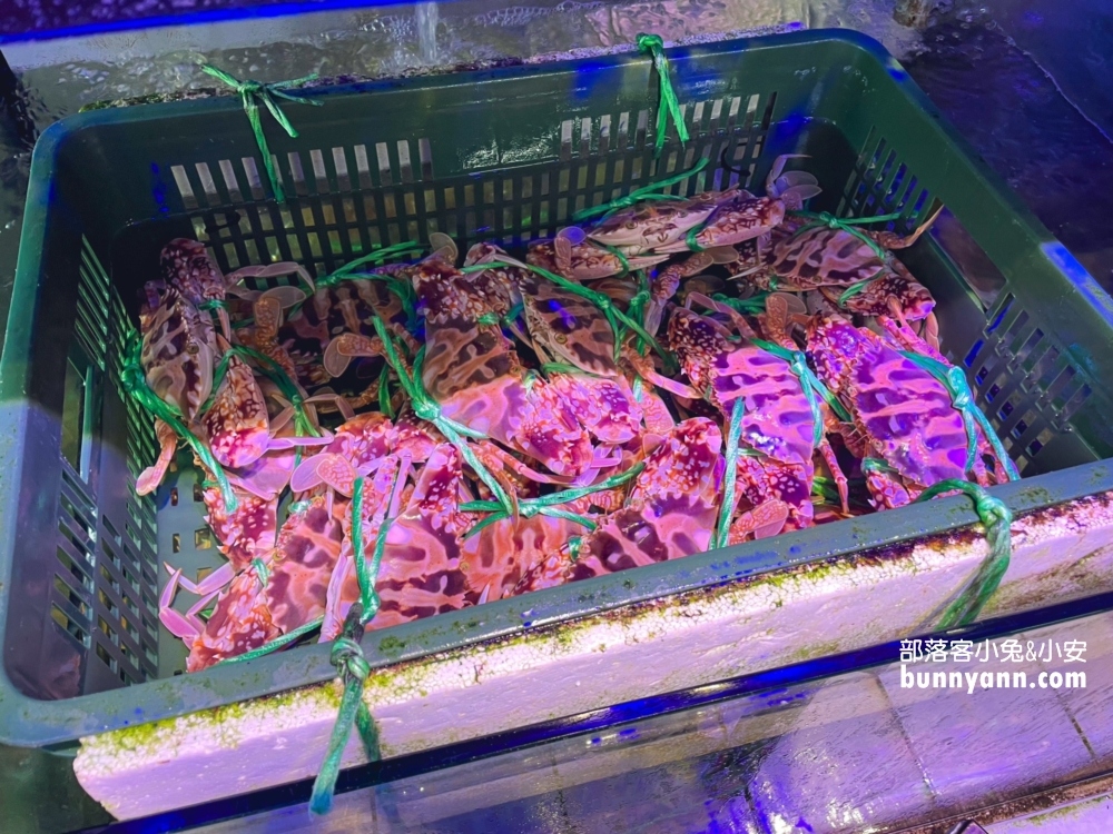 新北【大益發活海鮮餐廳】平價又美味的非漁港邊海產店