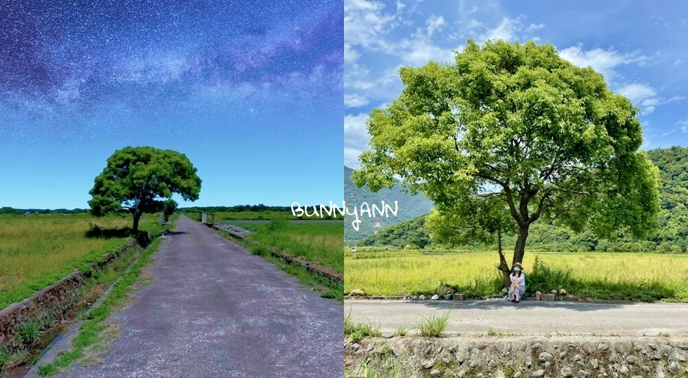 宜蘭景點》I SEE YOU，南澳金城武樹，美拍星空與油綠稻田伯朗大道~