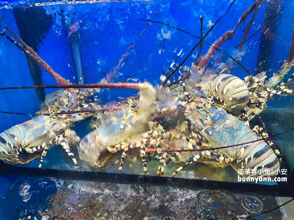 新北萬里【小漁村活海鮮】漁港邊的平價海產店