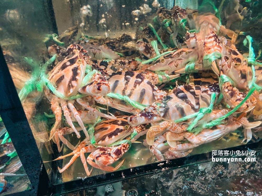 新北萬里【小漁村活海鮮】漁港邊的平價海產店