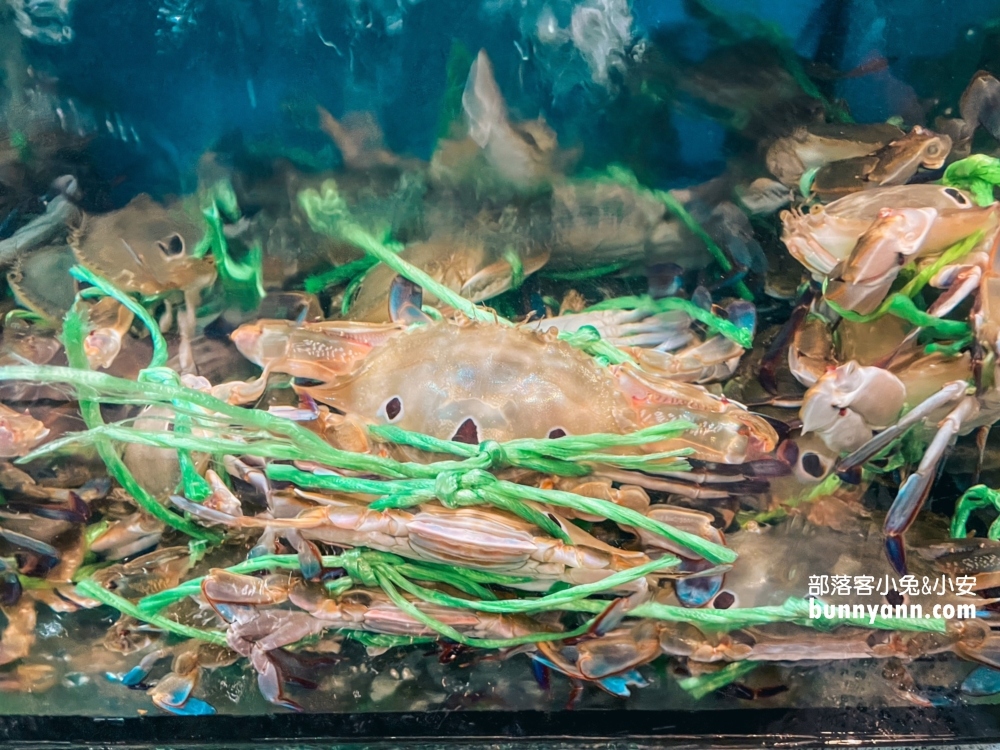 新北萬里【小漁村活海鮮】漁港邊的平價海產店