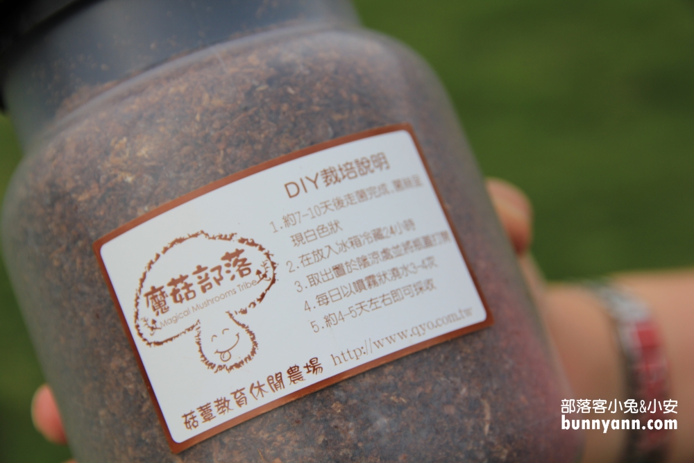 彰化魔菇部落休閒農場，門票資訊與必玩體驗設施介紹!!