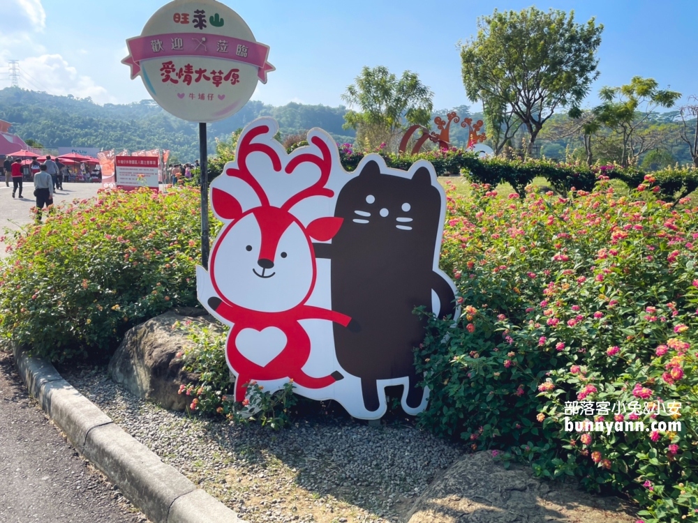 嘉義【旺萊山愛情大草原】阿里山腳下的免門票參觀平地森林園區