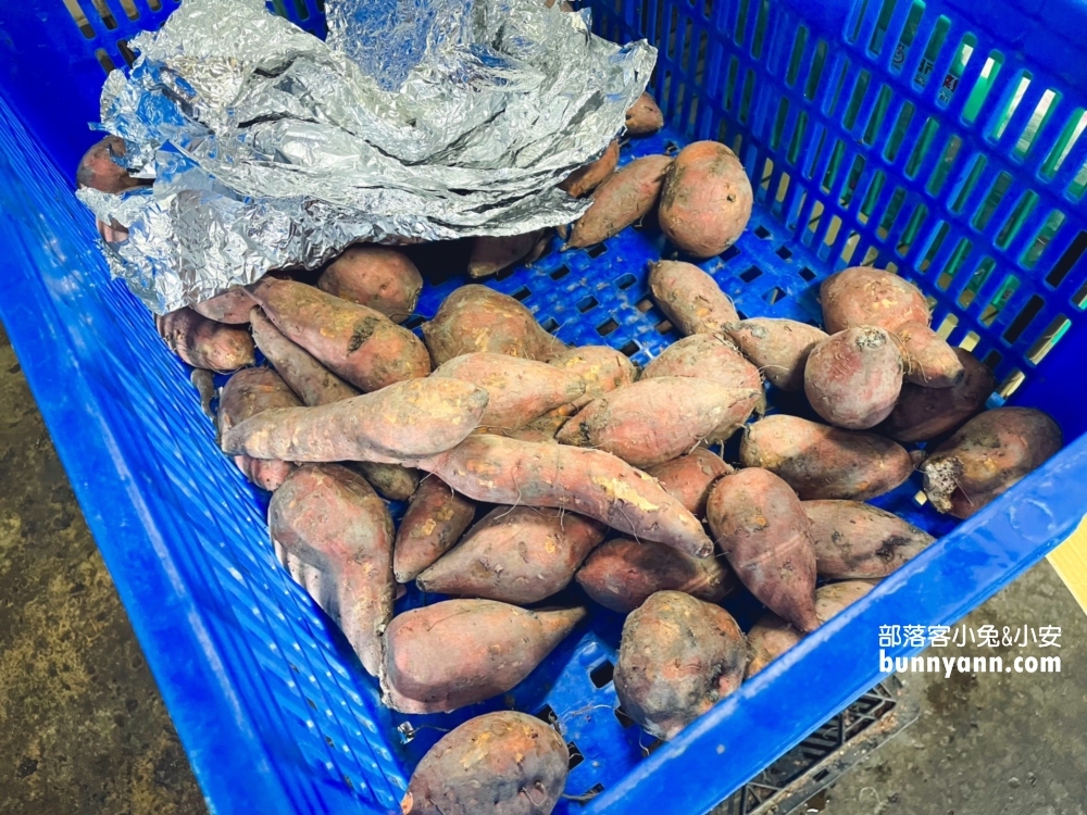 中社烤肉賞花農場，沙坑、遊戲室、戲水池隨你玩
