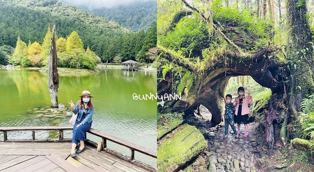 台灣國家森林遊樂區景點推薦，走入山林沐浴芬多精