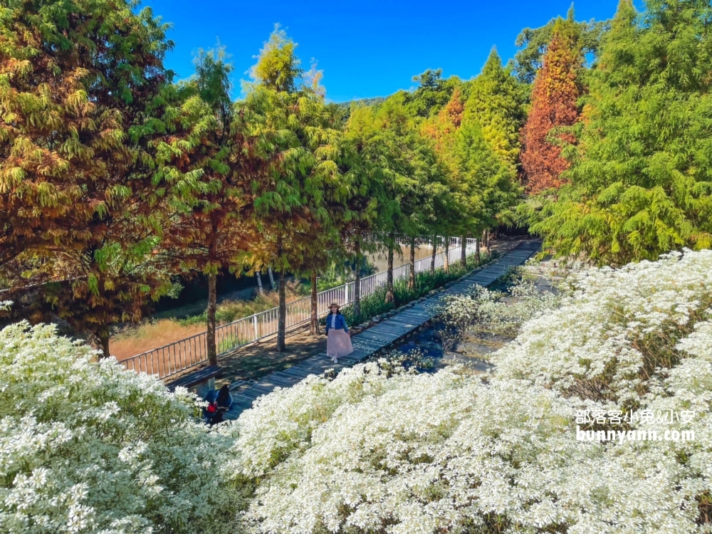 新社【普羅旺斯庭園餐廳】一年四季都能賞到美麗景色好悠閒