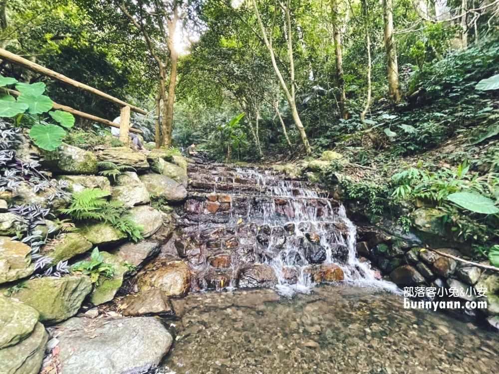 南投【惠蓀林場】全程來回走一圈大約兩小時左右，輕鬆沐浴大自然中