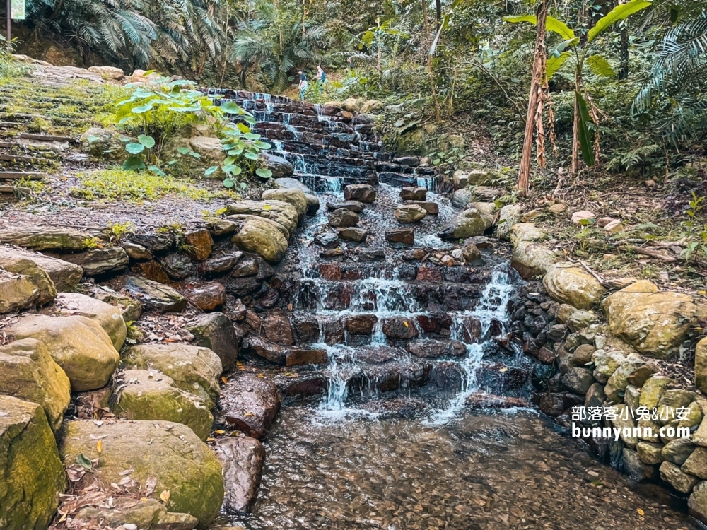 南投【惠蓀林場】全程來回走一圈大約兩小時左右，輕鬆沐浴大自然中