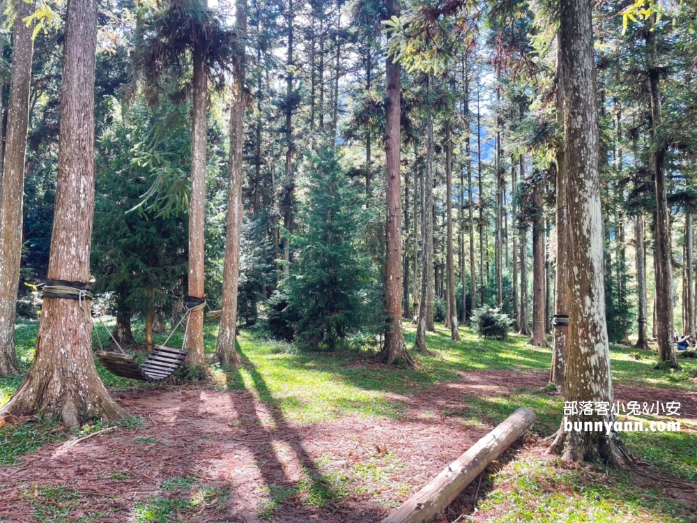 南投【惠蓀林場】全程來回走一圈大約兩小時左右，輕鬆沐浴大自然中