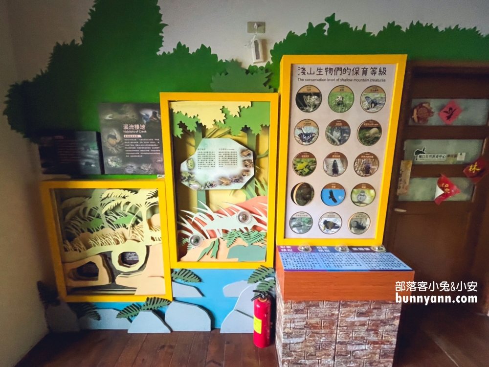 嘉義【觸口自然教育中心】最吸引人的特色包括森林步道、自然樹木館、景觀平台步道