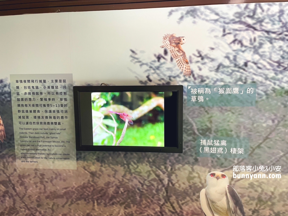 嘉義【觸口自然教育中心】最吸引人的特色包括森林步道、自然樹木館、景觀平台步道