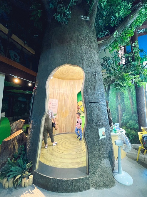 嘉義【觸口自然教育中心】最吸引人的特色包括森林步道、自然樹木館、景觀平台步道