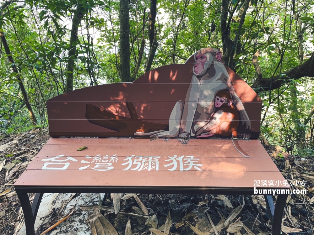 宜蘭【冬山中山亭】梅花湖三清宮中山步道，來回90分鐘輕鬆走完全程
